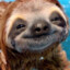 SlothLikeReflexes