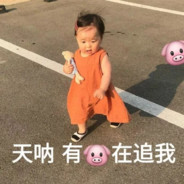 马保国五连鞭枪法