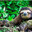SLOTH KING