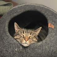 shoe goblin