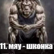 vvuz11 - steam id 76561199104868838