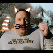 | BlartzelTheCat