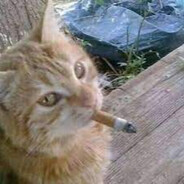 coelho - steam id 76561198796878627