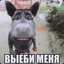 саня чекушка