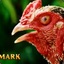Mark the Chicken