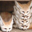 Bowanfox