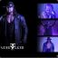 the undertaker