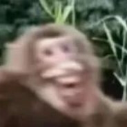 bilibili河口老马喽