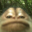 Nofu