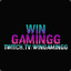 ○Win○ •GaminGG•