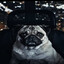 Avatar of player мистер эстроген