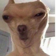 ТурбоКумыс