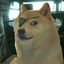 Van Doge