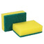 Sponge