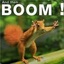 Boom Squirrel