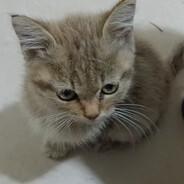 cantforgetucouseiloveu