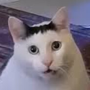 ....huH&gt;?&lt;