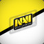 NAVI