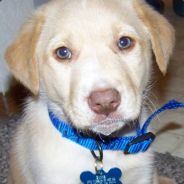нalүсoп - steam id 76561197969095655