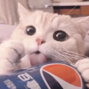 有相遇之缘   却无纠缠