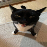 qqq