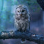 DeadlyOwl