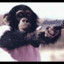 monke with a gun