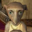 PinkDobby