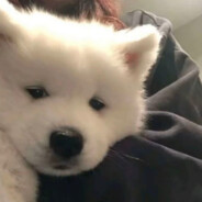 可她总在梦里见