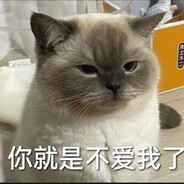 猫头猫头鹰🐾