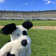 羊藏屁-聊城沃丁第一突