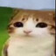 glop's avatar