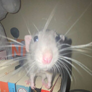 T͕͓͍h̝͇̟u̡̘̦g̙̙͓