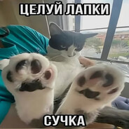 カツレツとサラダの恋