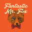 MrFOX