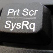 Bruce_Prt_Scrn avatar