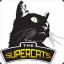 SUPER-_-CATS