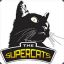 [THE]SupeRCaT