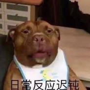 正在偷吃电弧星