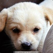 潇潇暮雨234