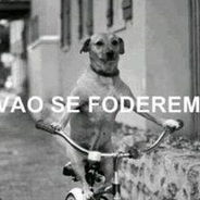 Vão Se Foderem
