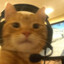 Monsieur Miaou
