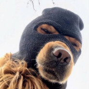 BigSmileyWiley's avatar