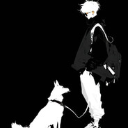 想要透光的书房