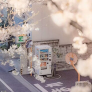 轻舟已过万重山