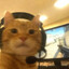 TommyDG ඞ