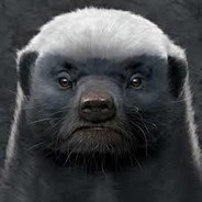 Honeybadger