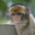RealMcNuggets avatar