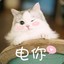 球球酱