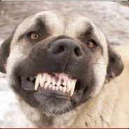 Taktak - steam id 76561197971048687